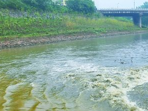 涞源污水清运多少钱